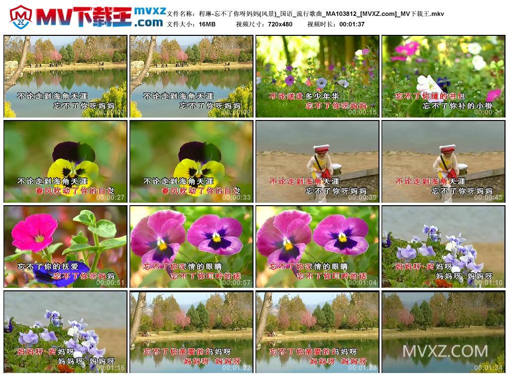 程琳-忘不了你呀妈妈(风景)_国语_流行歌曲_MA103812